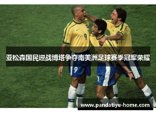亚松森国民迎战博塔争夺南美洲足球赛季冠军荣耀